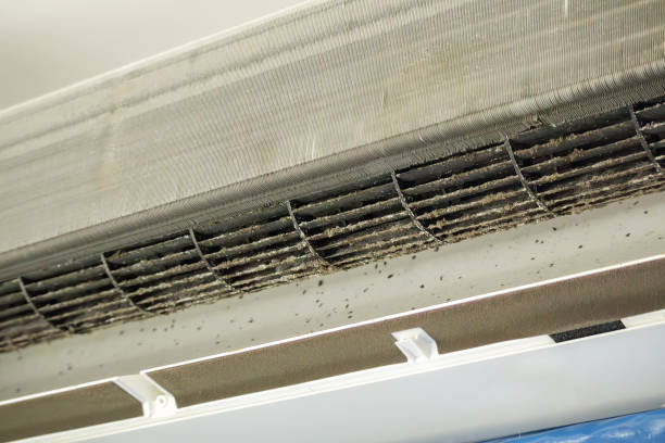Best Professional Duct Cleaning Services  in Valrico, FL