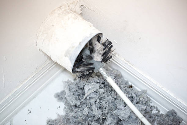 Best Air Vent Cleaning Services  in Valrico, FL